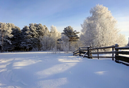 За околицей зима...