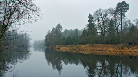 Декабрь, туманный