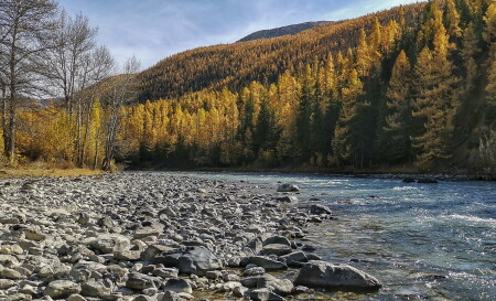 осенние берега Чуи