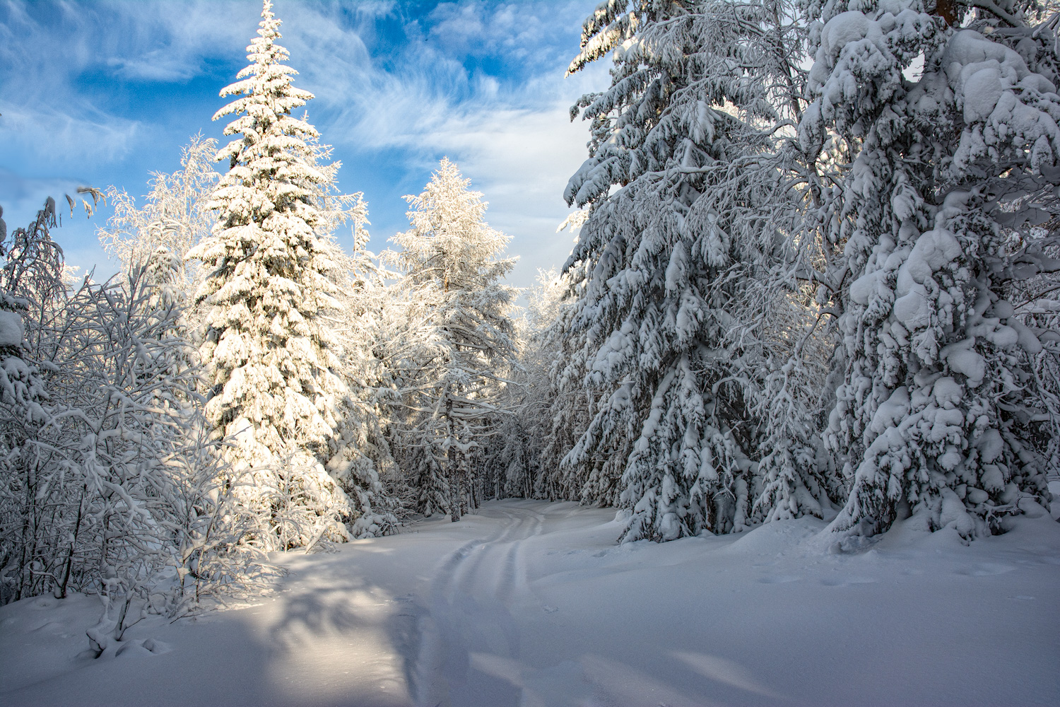 Зимний день 