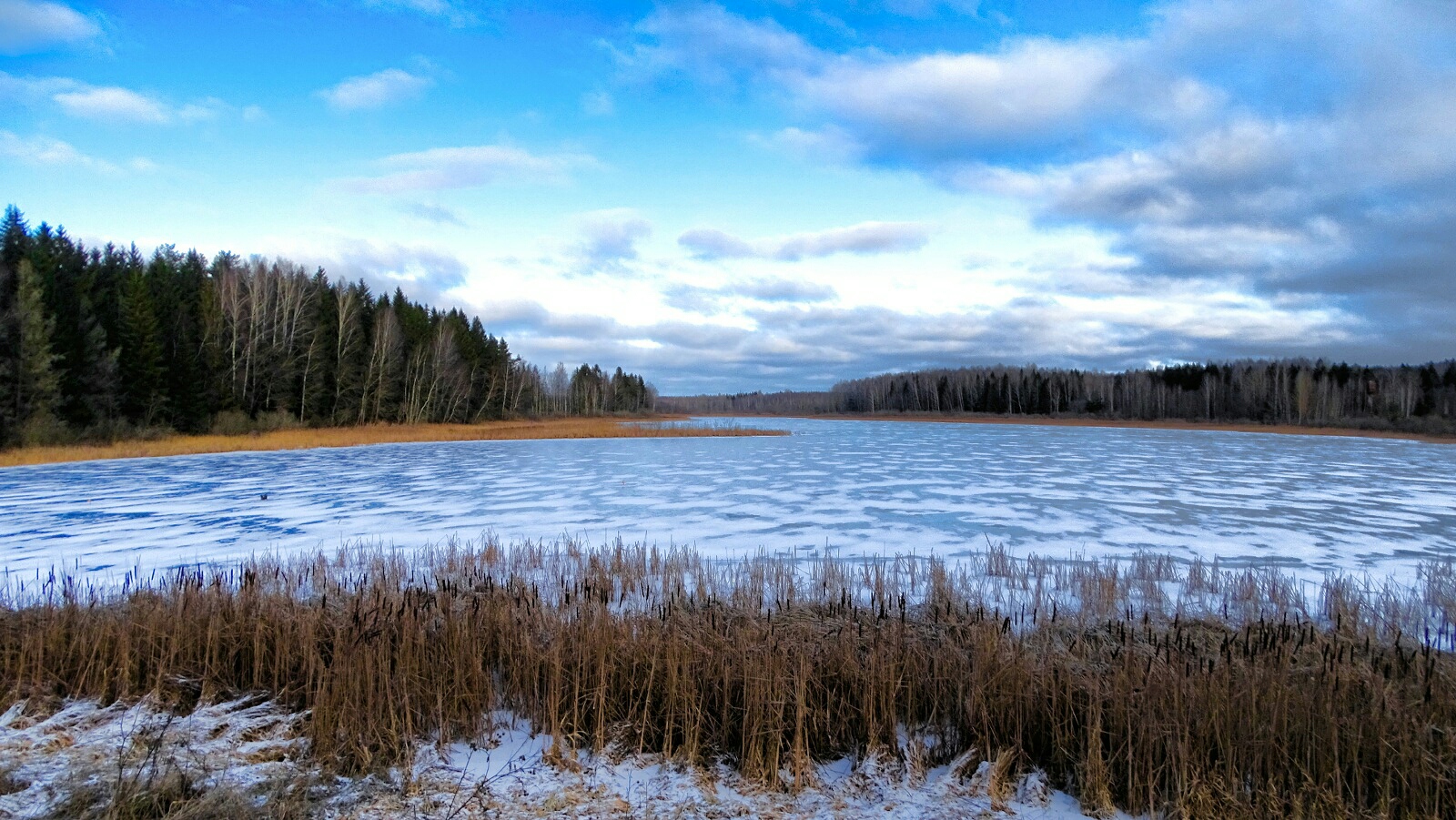 Природа Смоленщины 