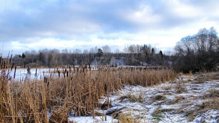 Природа Смоленщины 