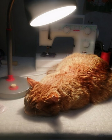 СПА процедуры.