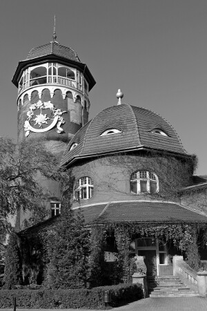 Светлогорск