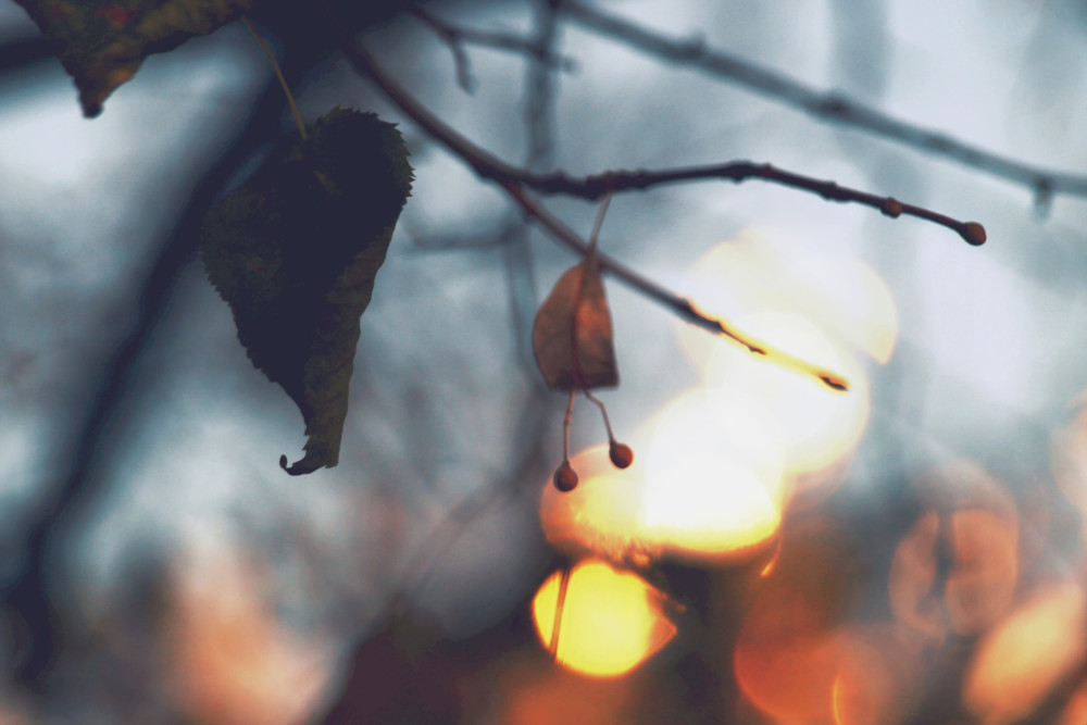 Осенние пожары.