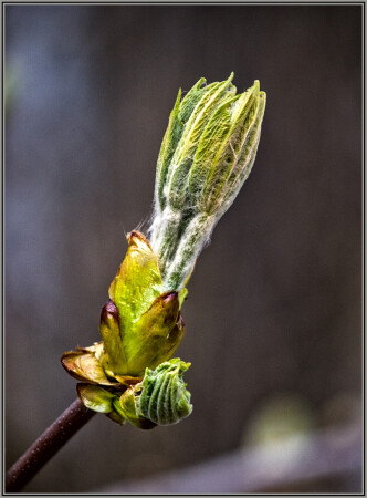 Ещё немного