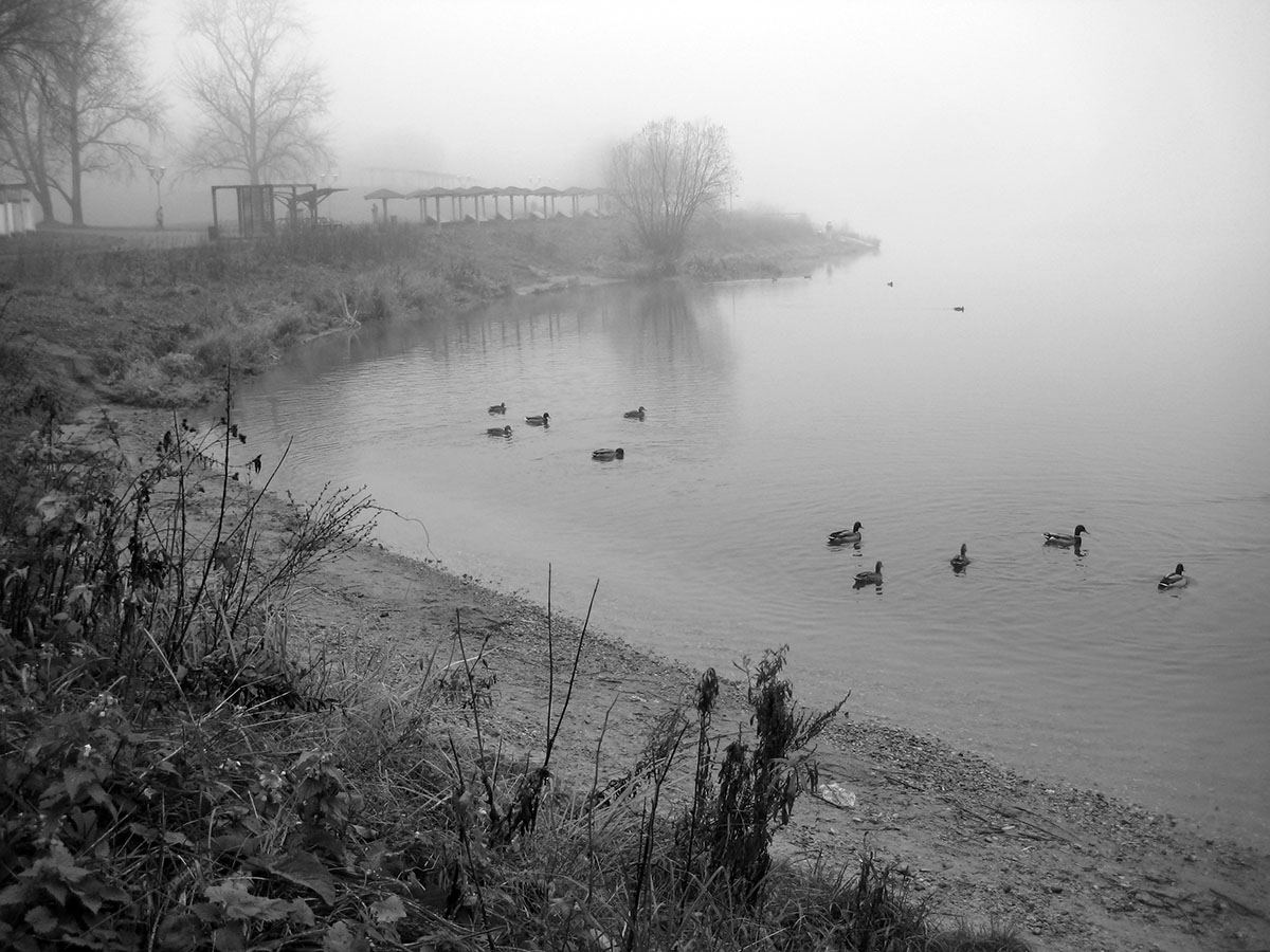 Утро на Борисовских прудах.