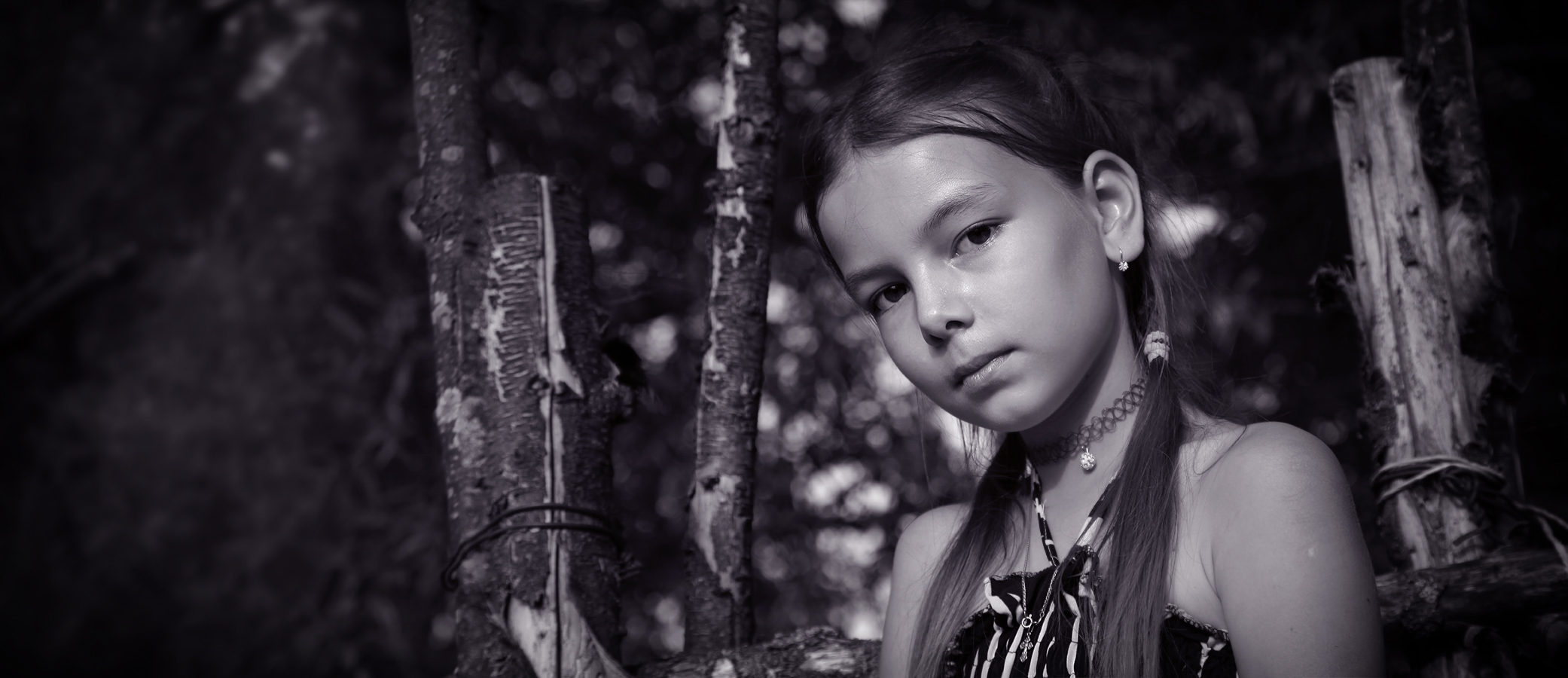 А бурый волк ей верно служит.