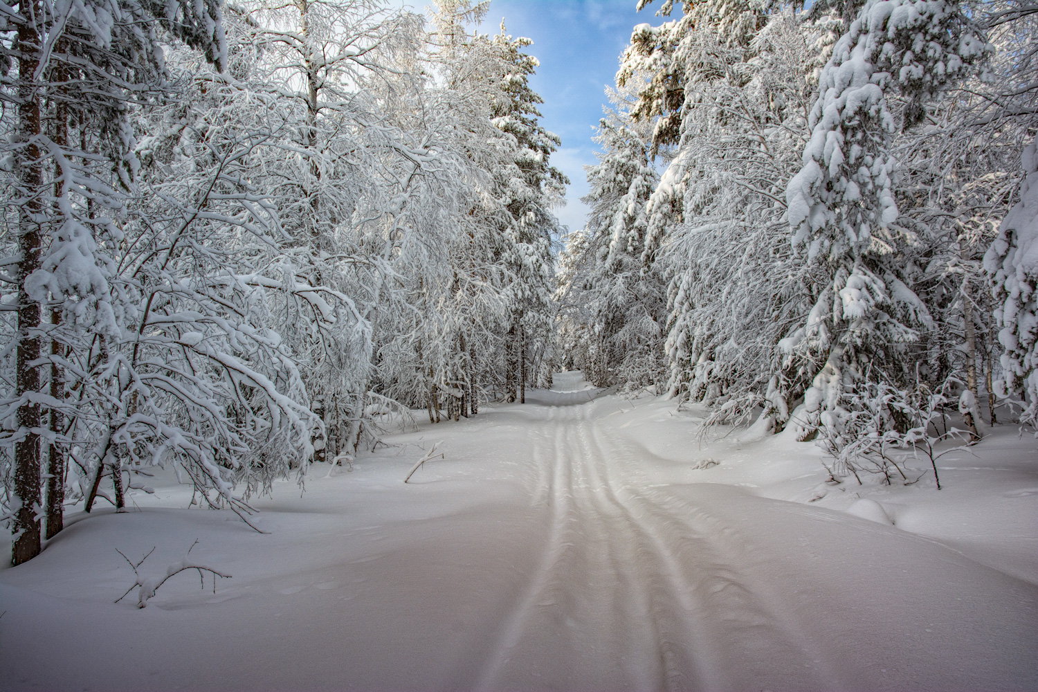 Зимняя дорога 