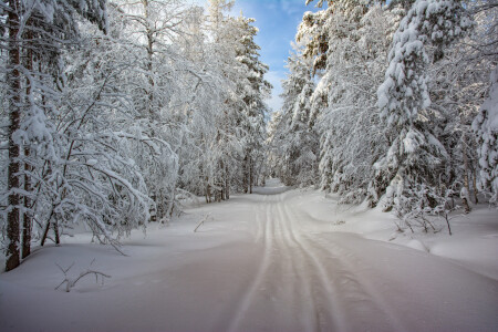 Зимняя дорога 