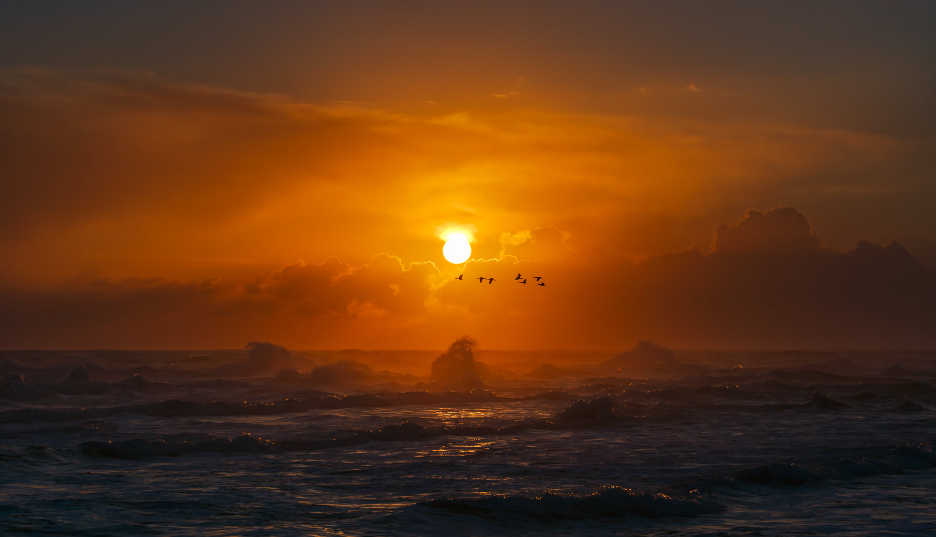 Полёт бакланов над Тихим океаном на закате дня