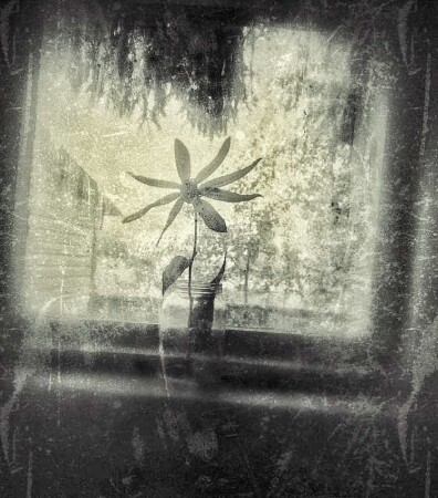 ОдиНОЧЕСТВО