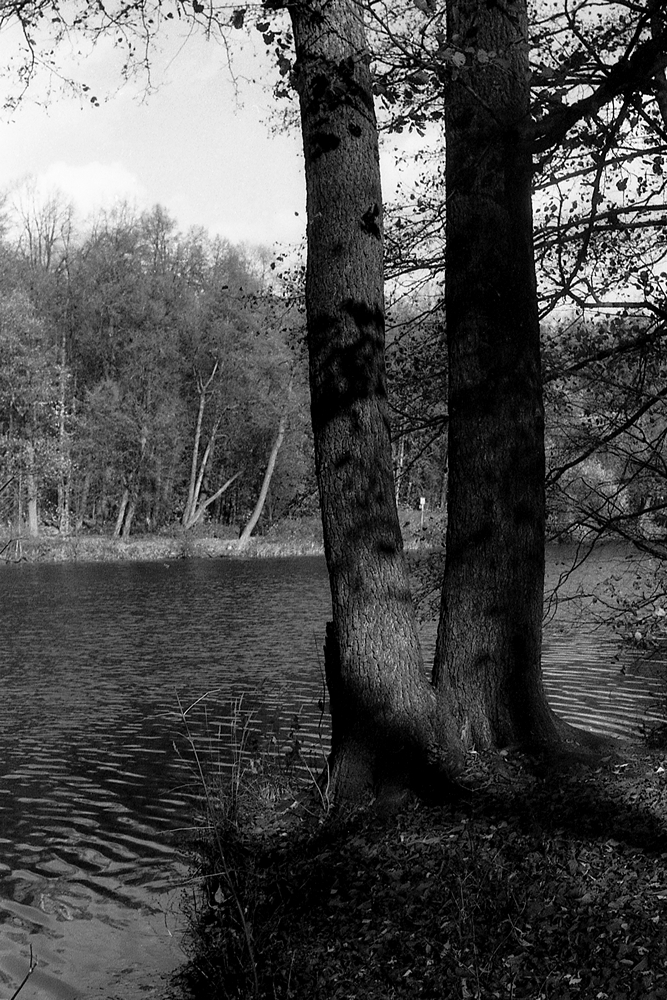 Верхний Кузьминский пруд