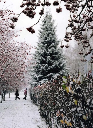 С Новым годом! Наукоград Кольцово.