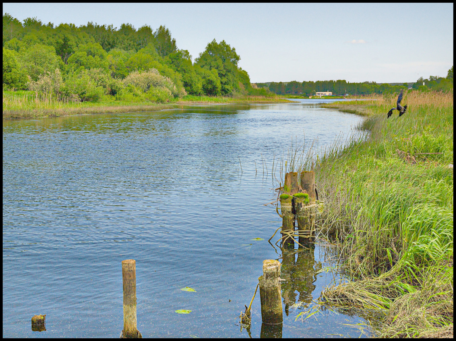 Разведчик Бабы Яги