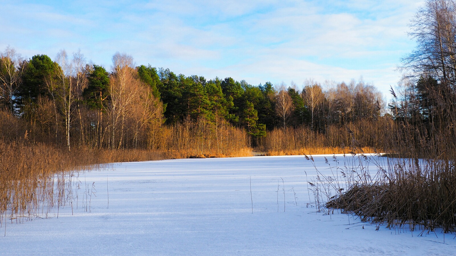 Природа Смоленщины 