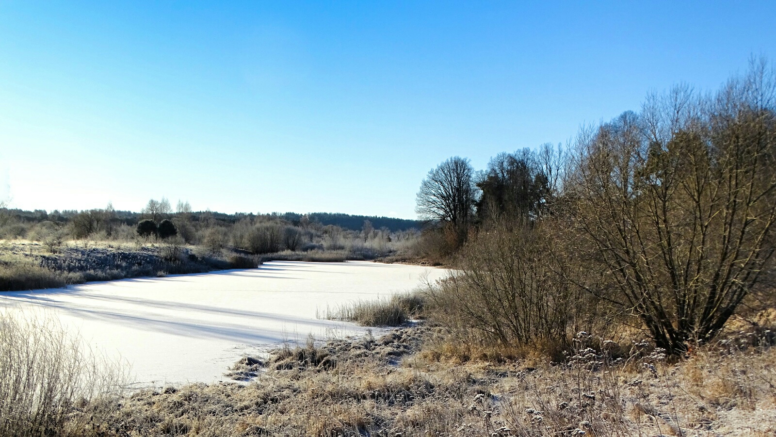 Природа Смоленщины 