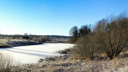 Природа Смоленщины 