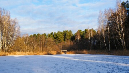 Природа Смоленщины 