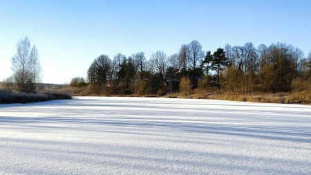 Природа Смоленщины 