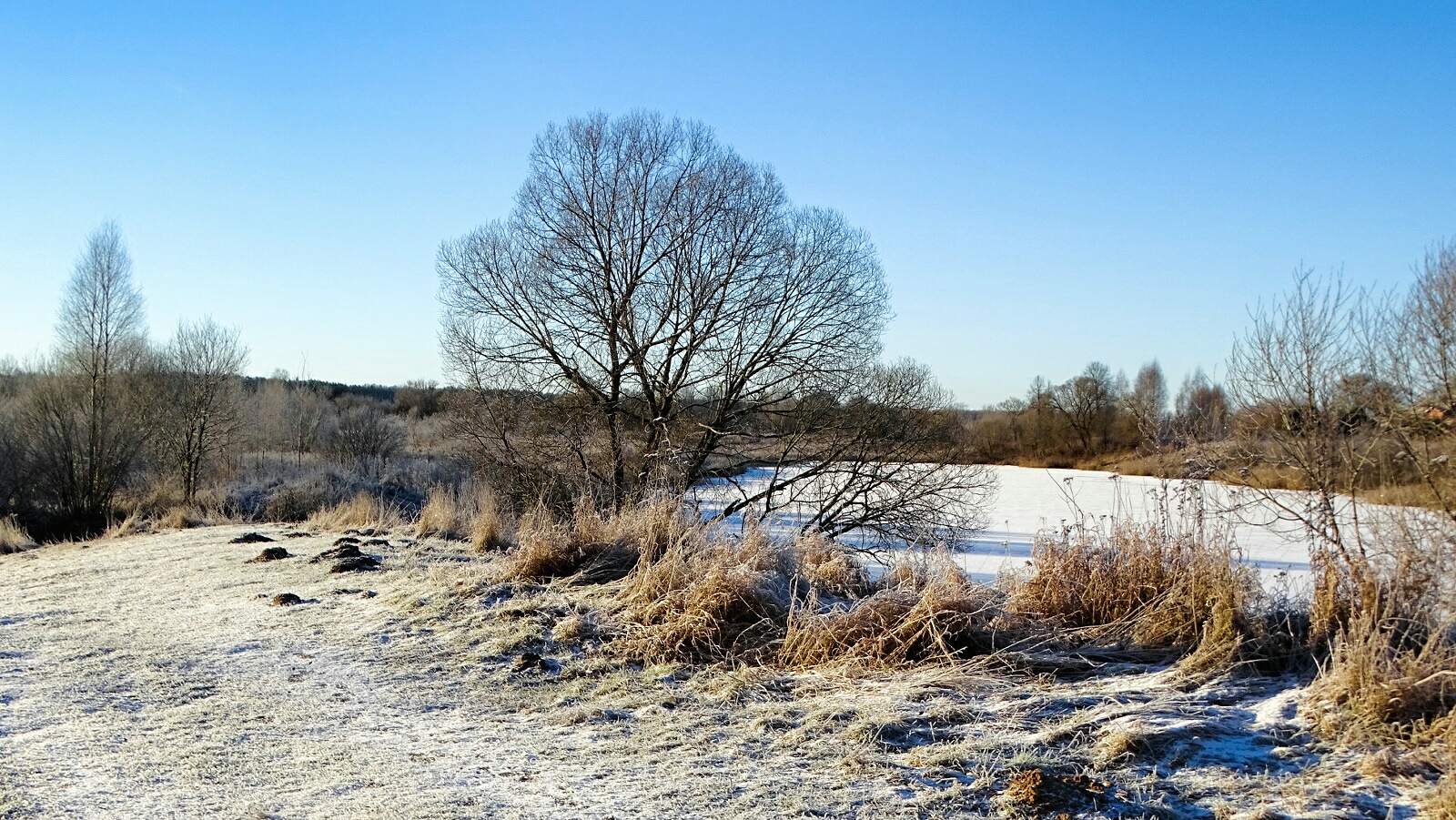 Природа Смоленщины 