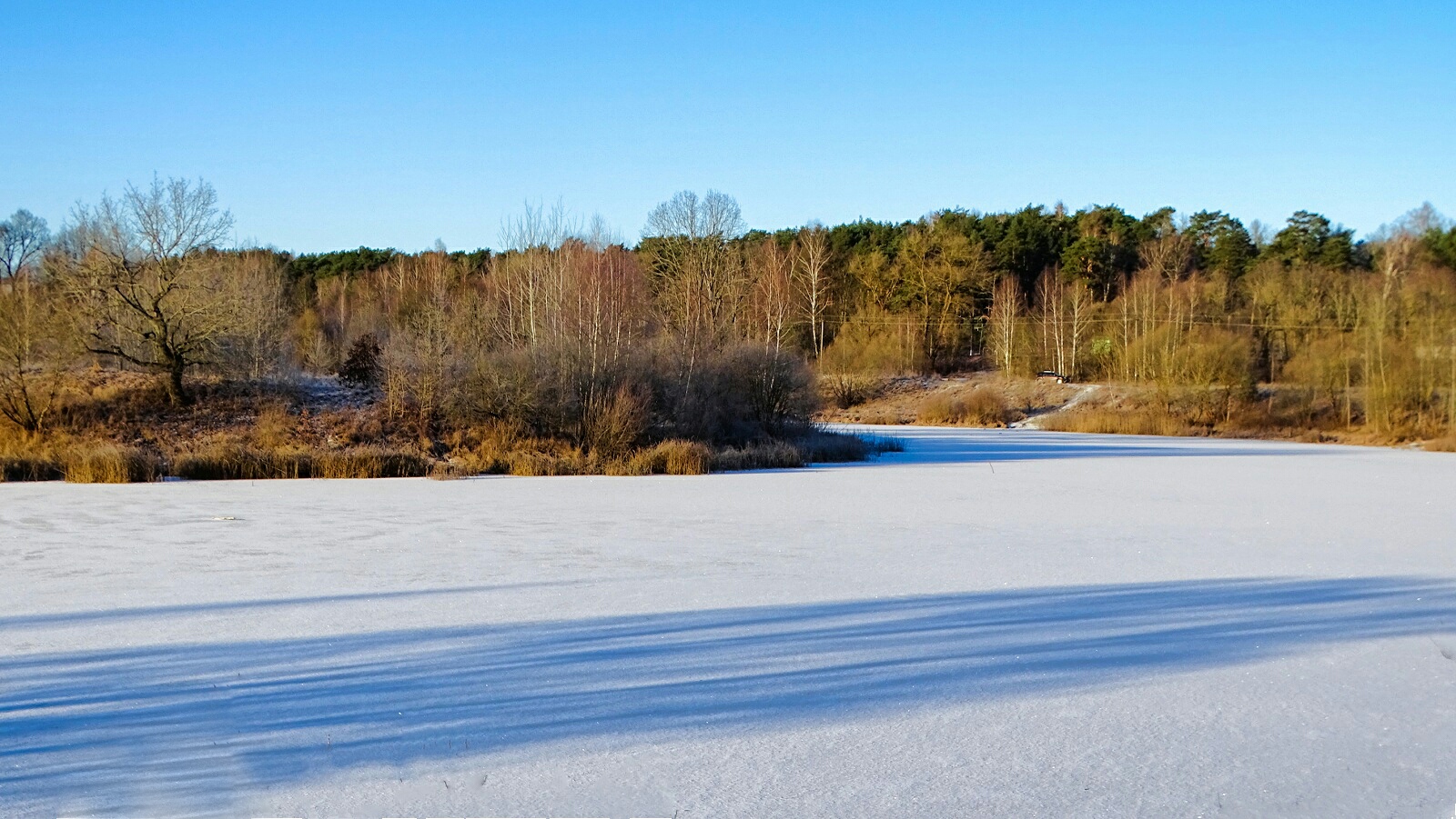 Природа Смоленщины 