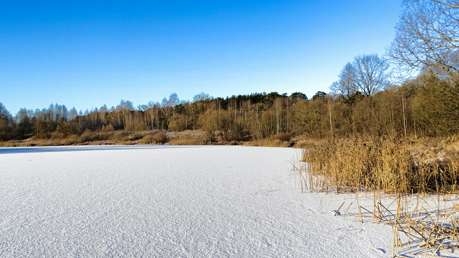 Природа Смоленщины 