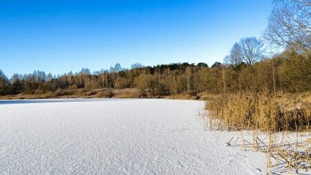 Природа Смоленщины 