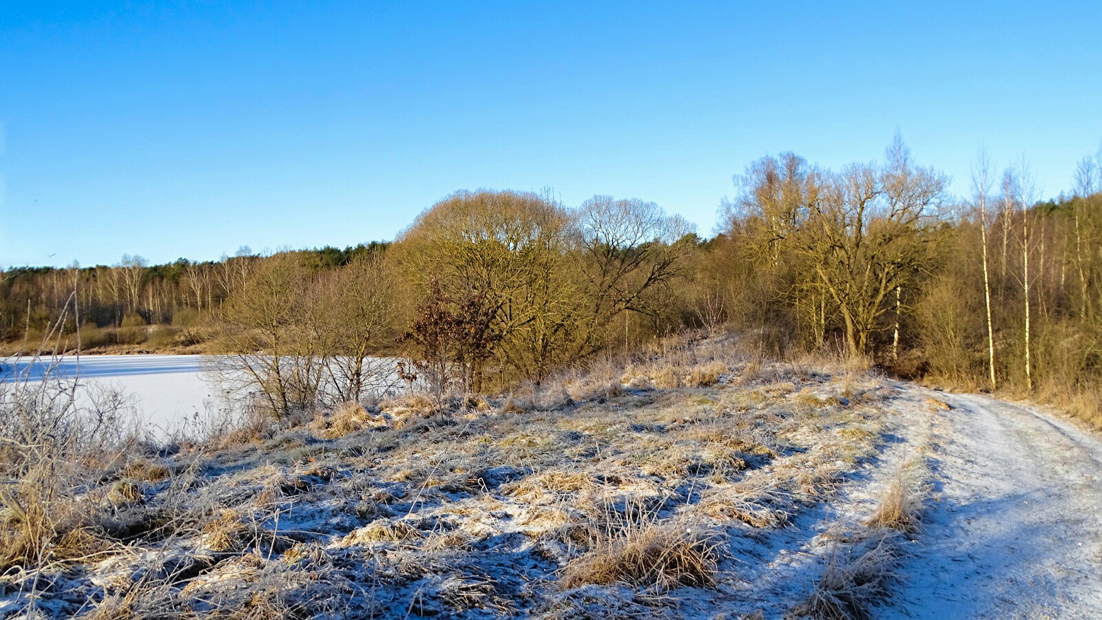 Природа Смоленщины 