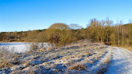 Природа Смоленщины 