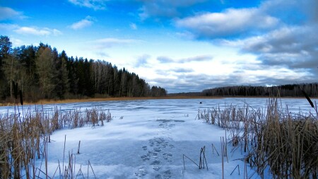 Природа Смоленщины 