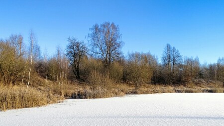 Природа Смоленщины 