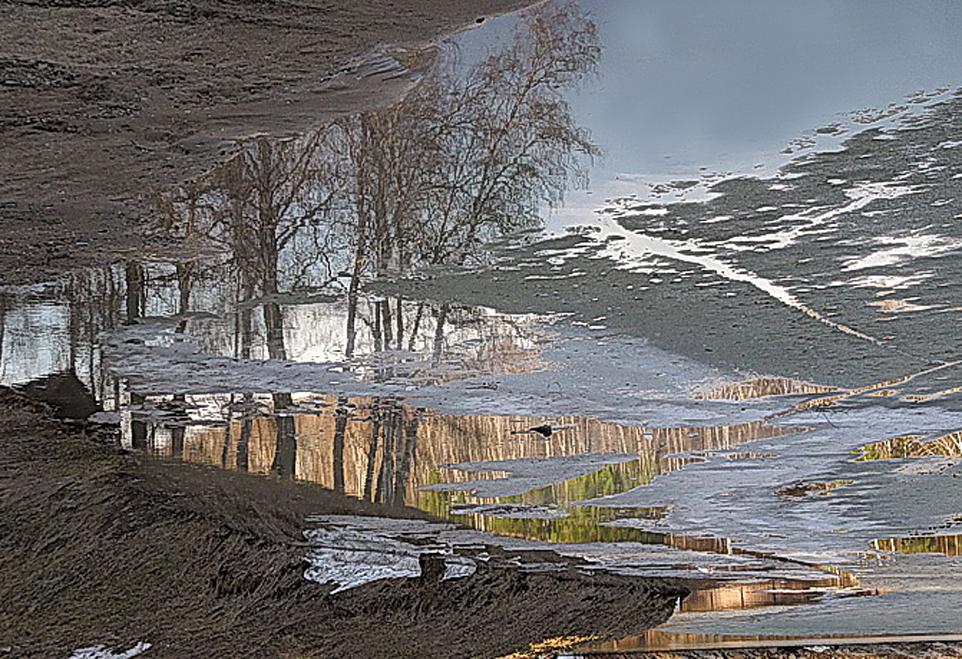 Весенний зтюд.