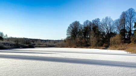 Природа Смоленщины 