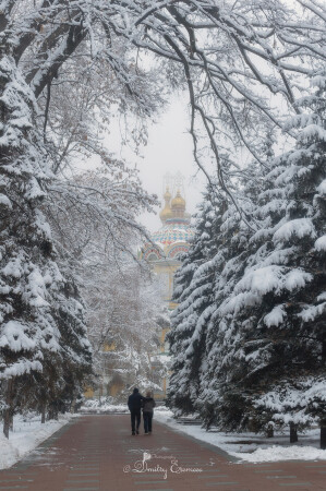 Тихий парк в снежный день, подобен тайному саду, наполняющему душу...