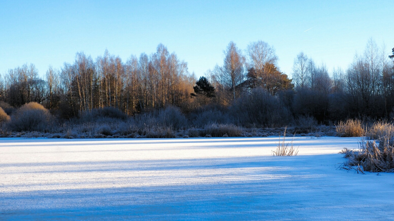 Природа Смоленщины 