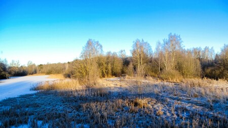 Природа Смоленщины 