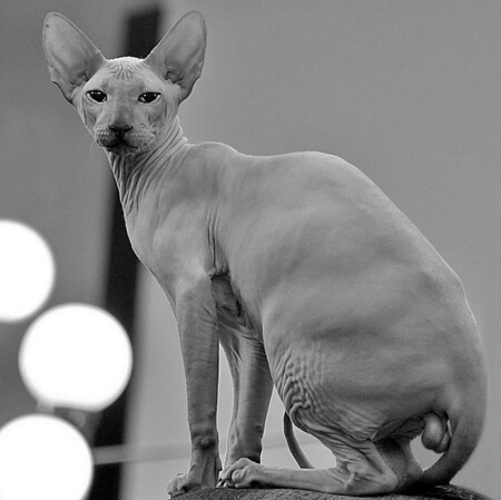 Сфоткай меня так, чтобы она поняла, кого потеряла...