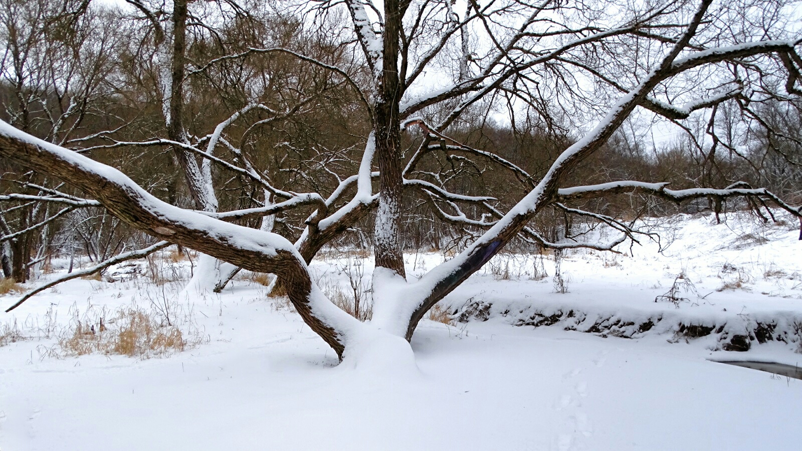 Природа Смоленщины 