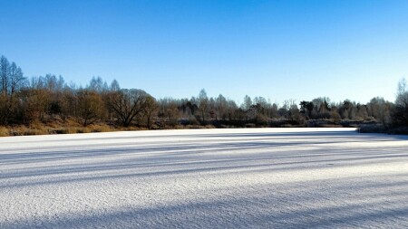 Природа Смоленщины 