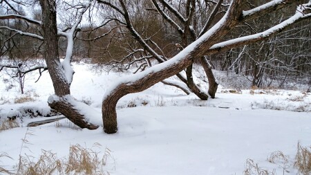 Природа Смоленщины 