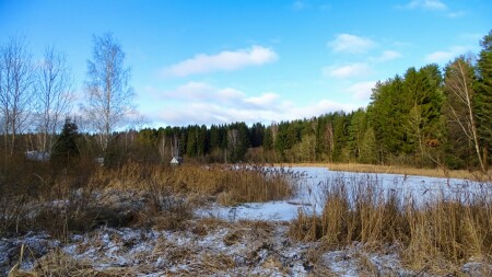 Природа Смоленщины 