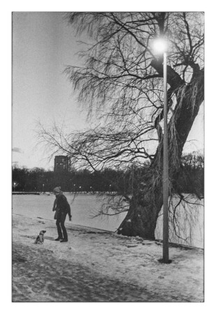 На вечерней прогулке