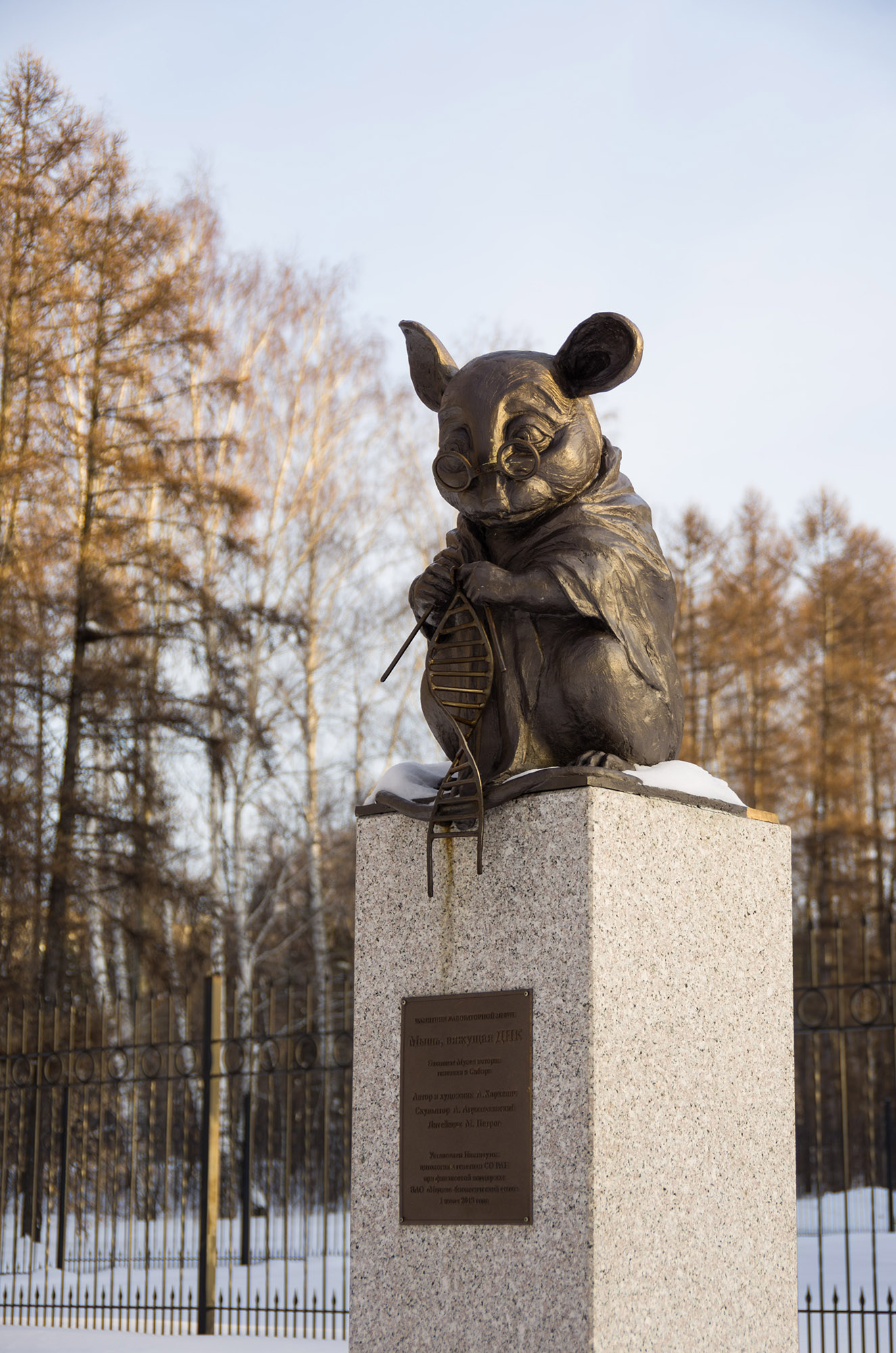 Новосибирск #2