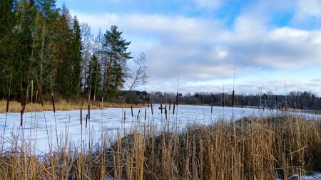 Природа Смоленщины 