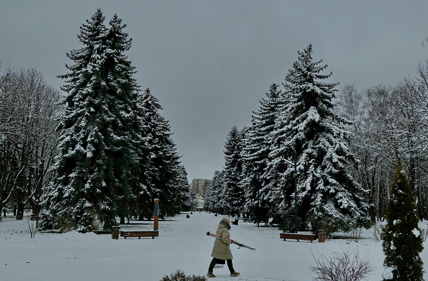 Готовить лыжи.