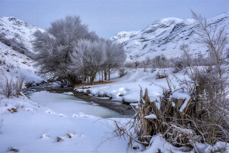 Предновогодняя зимняя сказка в горах