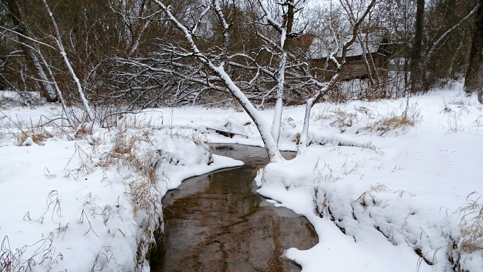 Природа Смоленщины 