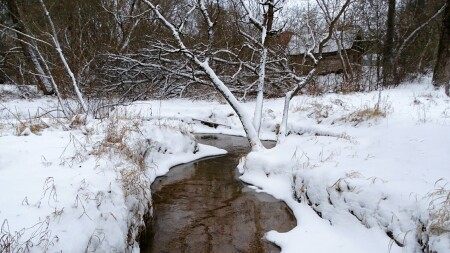 Природа Смоленщины 