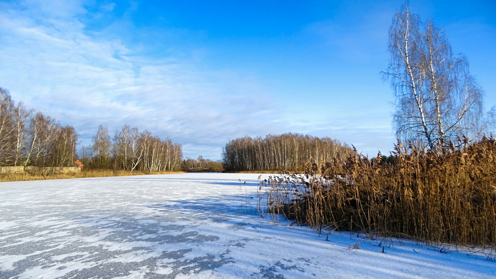 Природа Смоленщины 